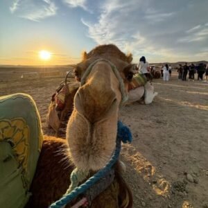 MARRAKECH TO AGAFAY : CAMEL RIDE DINNR FIRE SHOW LIVE MUSIC ALL IN ONE